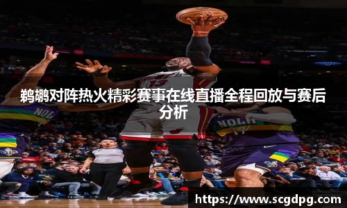 鹈鹕对阵热火精彩赛事在线直播全程回放与赛后分析