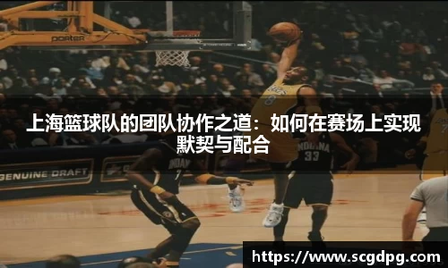 上海篮球队的团队协作之道：如何在赛场上实现默契与配合